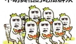 纯属吃瓜路人甲,揭秘娱乐圈幕后真相