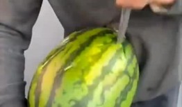 吃瓜卖瓜是什么意思,揭秘“吃瓜卖瓜”背后的社会现象