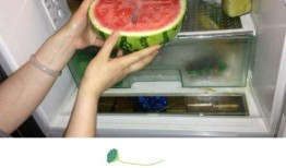 准备吃饭了吃瓜