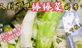 湖州老师吃瓜,揭秘校园八卦背后的真相