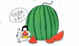 吃瓜看猛料,吃瓜看猛料，揭秘明星幕后故事