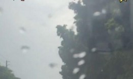 吃瓜鹅冲浪,揭秘网络热点的幕后故事