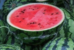 吃西瓜装瓜,吃西瓜装瓜，创意无限乐趣多