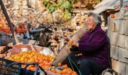 沂南吃瓜事件真相,揭开真相背后的惊人内幕