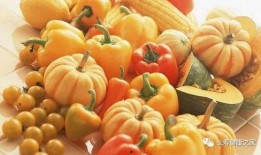 瓜吃蔬菜还有大便,健康生活每一天