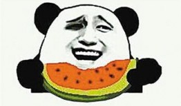 吃瓜的群众们这是什么瓜,揭秘网络热词背后的文化现象