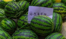 师范大学吃瓜,师范大学里的那些“吃瓜”趣事