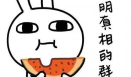 被在线吃瓜,揭秘“在线吃瓜”现象背后的故事