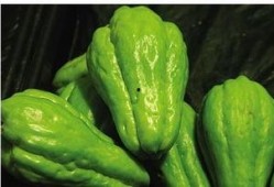 佛手瓜内核可以吃吗,可食用之谜揭晓