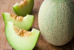 孩子吃白瓜哈密瓜,白瓜与哈密瓜的甜蜜邂逅