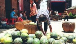 工地吃瓜朋友圈,揭秘工地里的那些趣事与温情