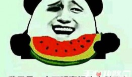 吃瓜什么梗,揭秘网络热梗“吃瓜”背后的故事