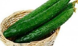 吃瓜没营养,揭秘“吃瓜没营养”背后的真相与反思