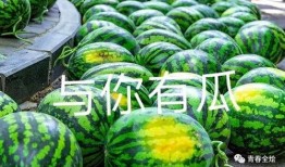 广州学校吃瓜排名,揭秘校园吃瓜达人最爱的高校美食