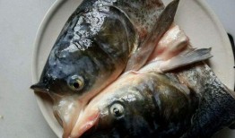 鱼头怪带你吃瓜,揭秘美食背后的秘密