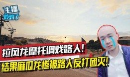 吃鸡麻瓜,揭秘虚拟战场中的生存智慧与社交魅力