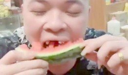 吃瓜艺术展,一场吃瓜艺术展的视觉盛宴