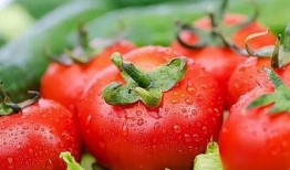 天天吃瓜番茄小说,番茄小说中的悬疑世界