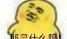 吃块瓜表情包,表情包里的夏日清凉时刻