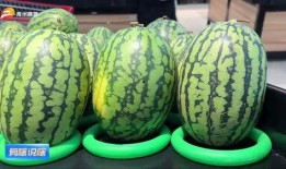 青州吃瓜视频,一场别开生面的乡村盛宴