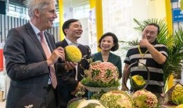 热情的吃瓜群众介休,热情吃瓜群众的热闹生活画卷