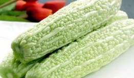 胃不好可以吃凉瓜,胃部不适？凉瓜助你养胃养生