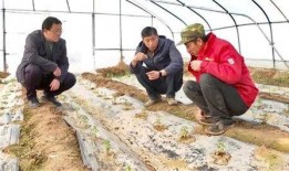 吃瓜张宏,揭秘娱乐圈背后的那些事儿