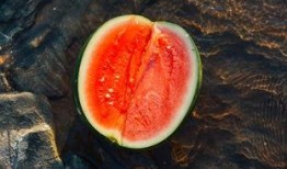 shry 吃瓜,网络热议背后的真相与反思