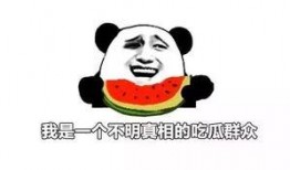 吃瓜都挺好,共享美好时光