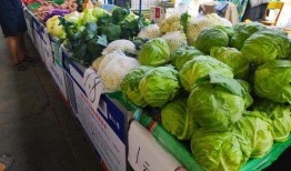 摆摊吃瓜视频,摆摊吃瓜，揭秘市井百态