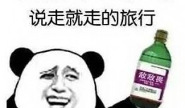 吃瓜长篇语录搞笑,那些让人捧腹的吃瓜语录大盘点