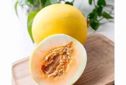 吃瓜还嫌瓜不甜下一句,品味生活，笑对人生