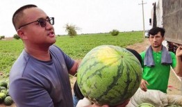 吉隆吃瓜,揭秘当地特色美食背后的故事