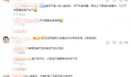 绝情吃瓜小说,一场爱恨交织的瓜界风云