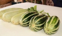 免费网红吃瓜链接,免费链接带你一探究竟