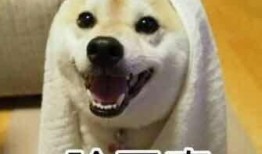 吃瓜垫底,揭秘娱乐圈幕后真相