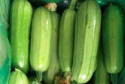 西葫芦瓜整条煮着吃,西葫芦瓜整条煮食新体验