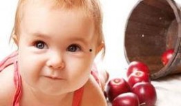 孩子吃奶可以吃瓜,宝宝成长中的温馨食育时光