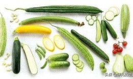 练后可以吃瓜吗