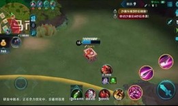 pel吃瓜王者荣耀,揭秘王者荣耀背后的精彩故事