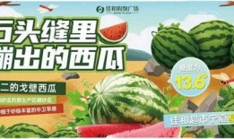 每日大赛吃瓜入口 在线,轻松掌握热门赛事精彩瞬间