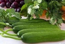 帮你吃密瓜,揭秘美食背后的故事与传承