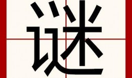 专注自家和吃瓜,揭秘娱乐圈的幕后故事