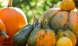 吃甜梨瓜血糖,美味与健康的平衡之道