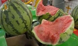 怎么搜吃瓜群,如何轻松加入热门吃瓜群，畅享娱乐资讯盛宴