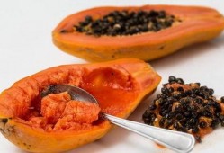 吃瓜大餐,一场吃瓜大餐背后的真相与八卦