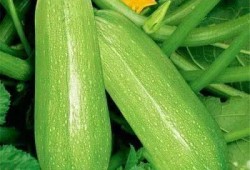 吃瓜网类似,那些你不知道的幕后故事