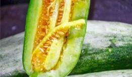 吃脆瓜胖吗,吃脆瓜真的不会胖吗？揭秘真相