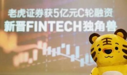 tiger吃瓜,揭秘动物界的趣味瞬间