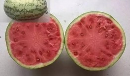 假情侣吃瓜,吃瓜群众笑翻天